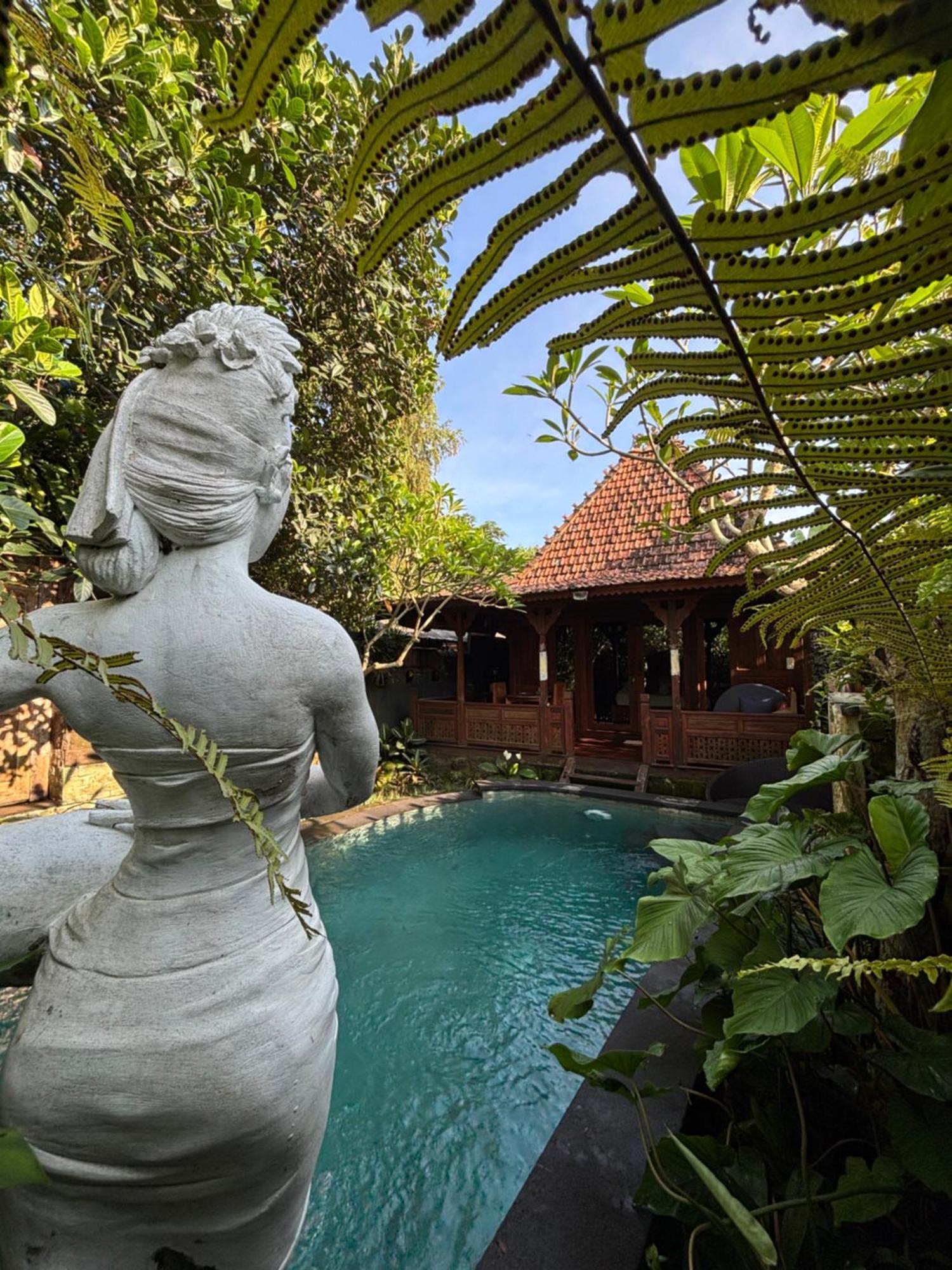 Bumbung Sari Villa Ubud  Luaran gambar