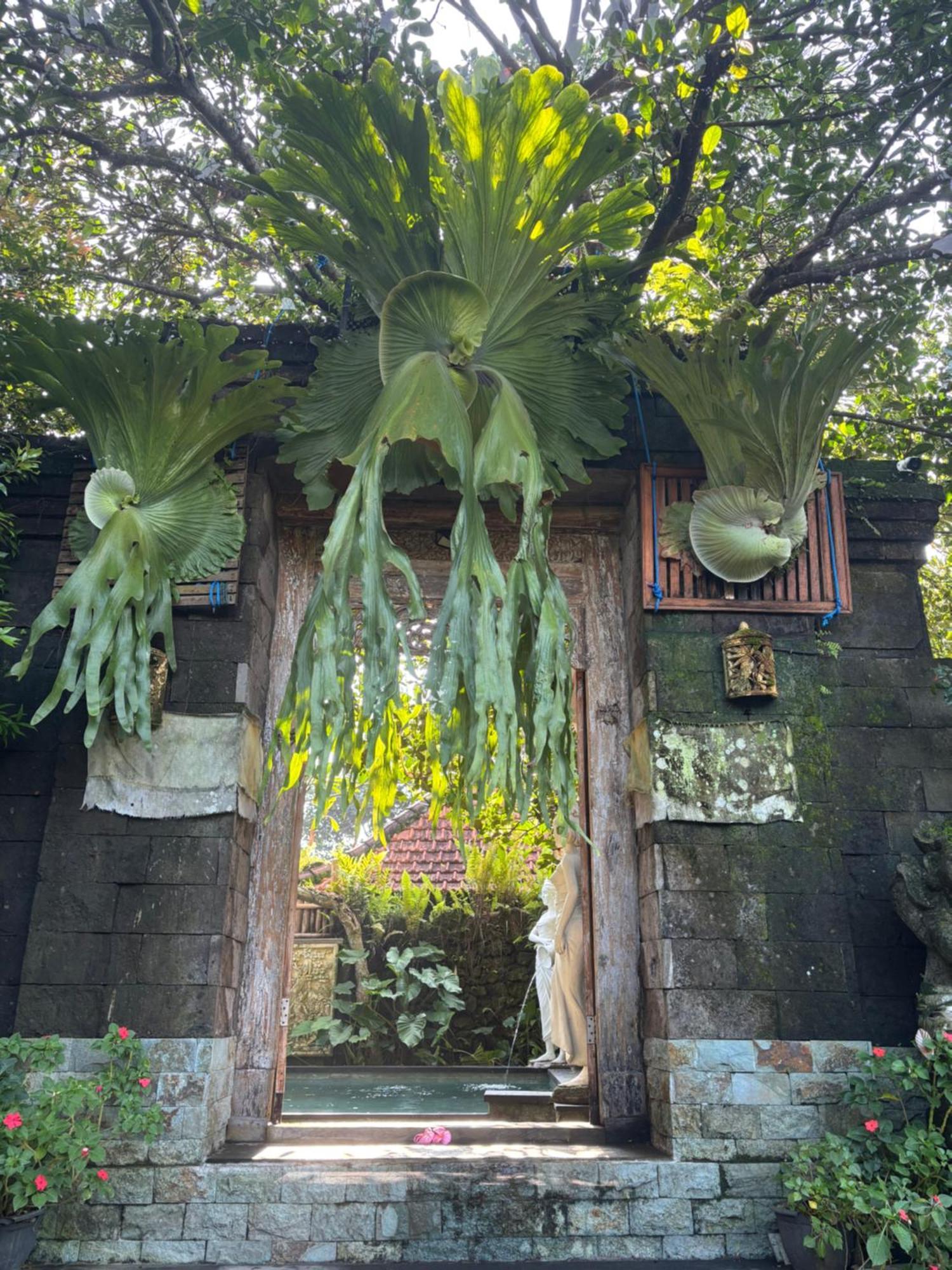 Bumbung Sari Villa Ubud  Luaran gambar