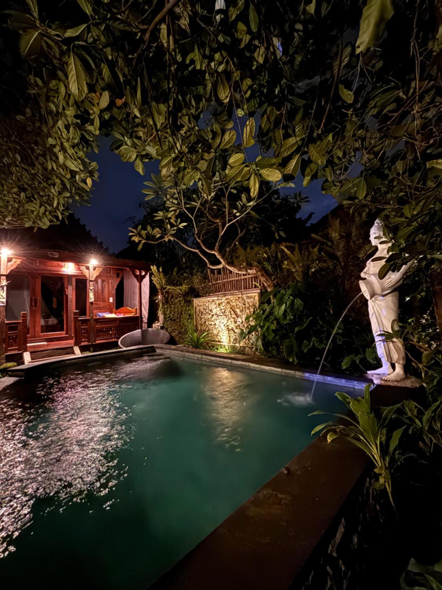 Bumbung Sari Villa Ubud  Luaran gambar
