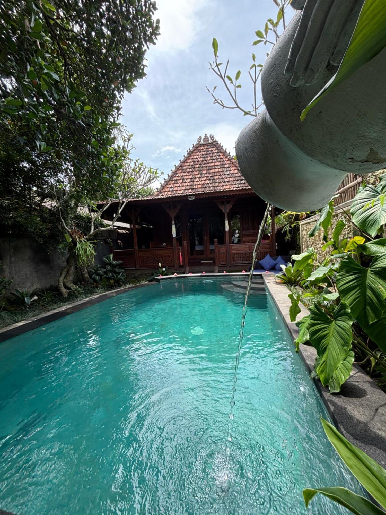 Bumbung Sari Villa Ubud  Luaran gambar